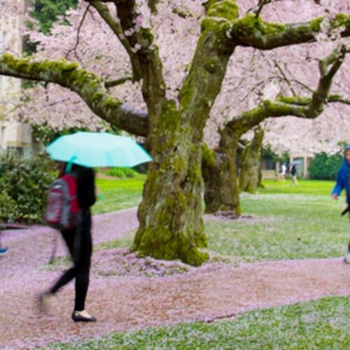 10 great examples of active design
