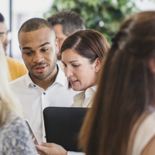 Tender opportunity for production team