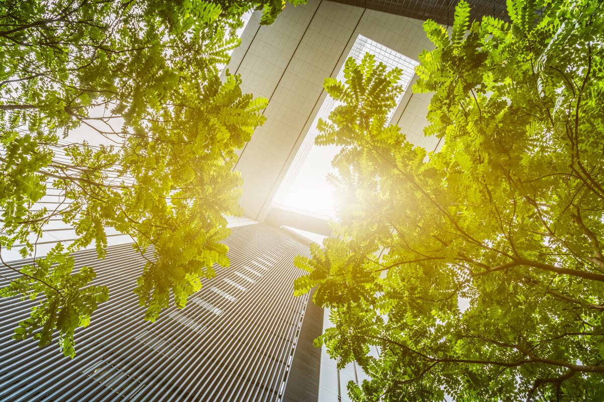 Sun shining through trees in city centre Credit: Getty Images