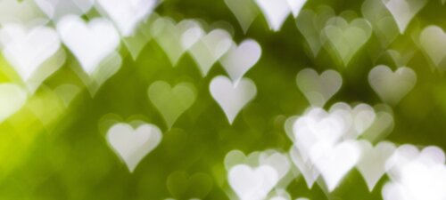 How to make people fall in love with your brand