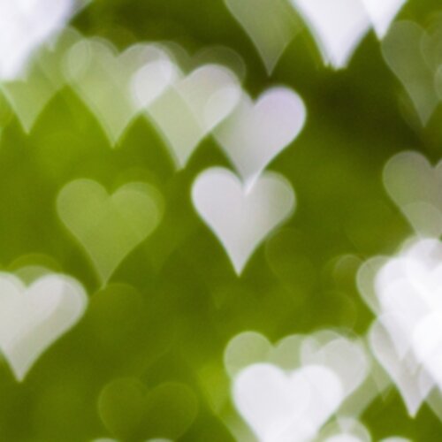 How to make people fall in love with your brand