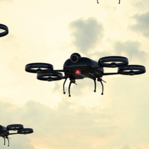 Beyond insects and robots: designing an education fit for the future
