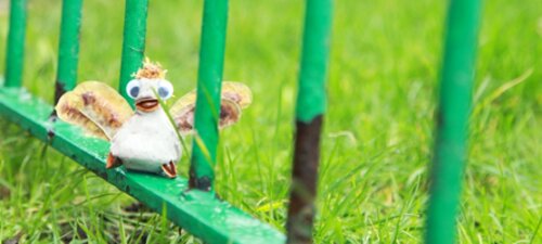 Knee High Design Challenge: announcing the six funded teams