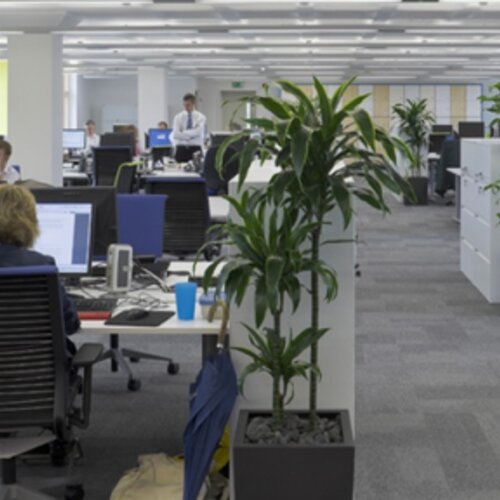 The impact of office design on business performance