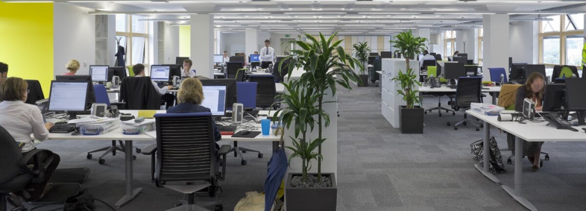 The impact of office design on business performance