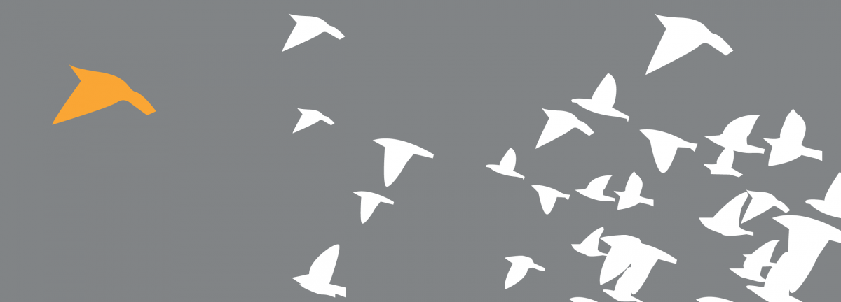Changing behaviour by design