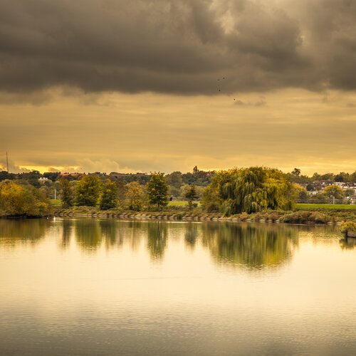 The Architecture of Reconnection: Walthamstow Wetlands
