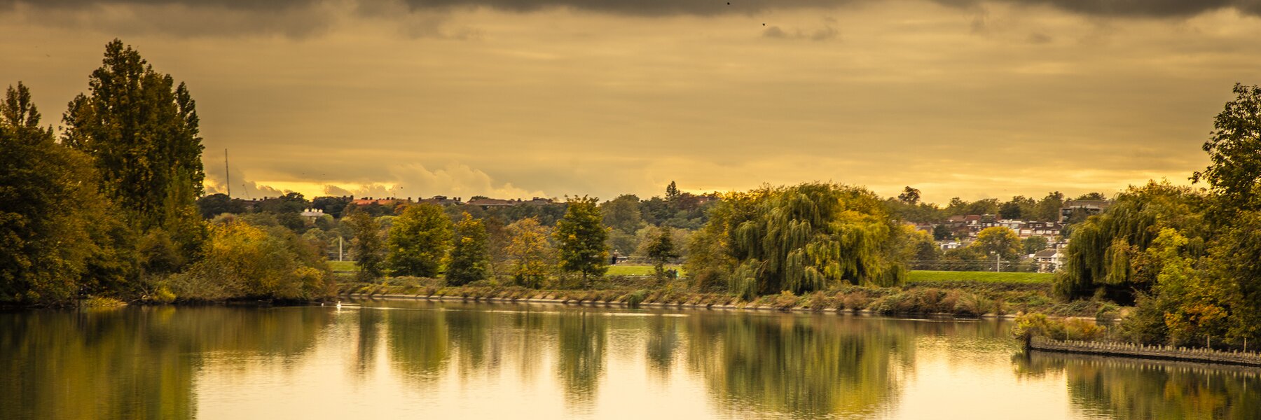 The Architecture of Reconnection: Walthamstow Wetlands