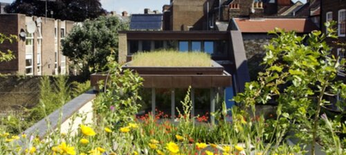 Hallmarks of a sustainable city