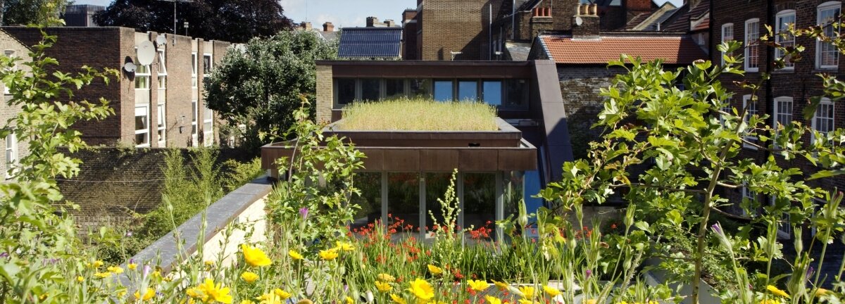 Hallmarks of a sustainable city