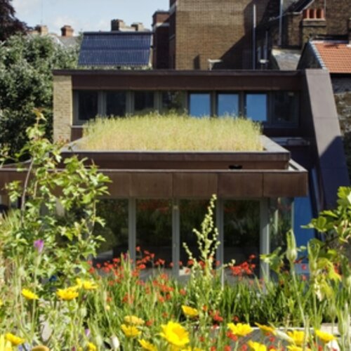 Hallmarks of a sustainable city