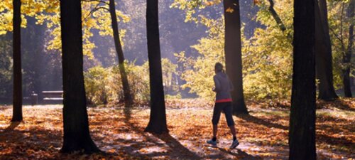 Why we need to design more active lives