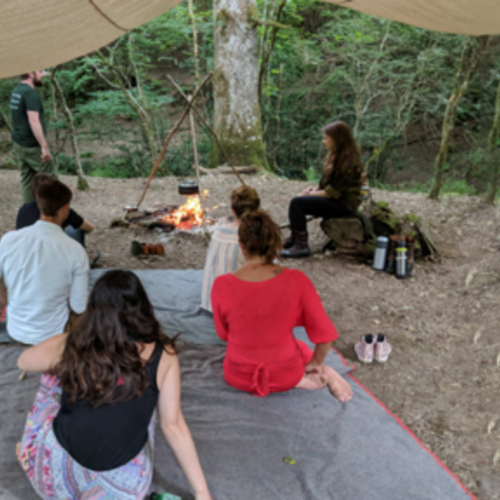 Transform Ageing: Wellbeing in the woods – inside Aquafolium