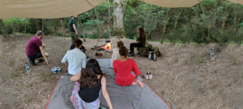 Transform Ageing: Wellbeing in the woods – inside Aquafolium