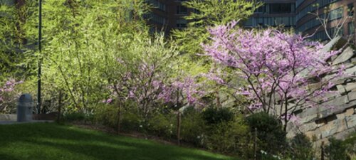 The green information gap