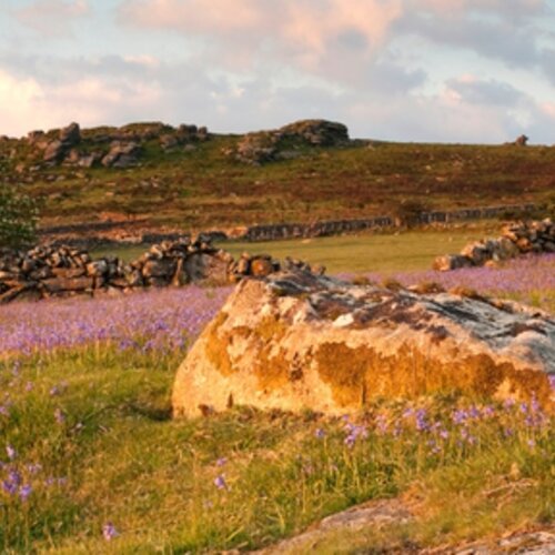 Design in the Public Sector - insights from Devon County Council