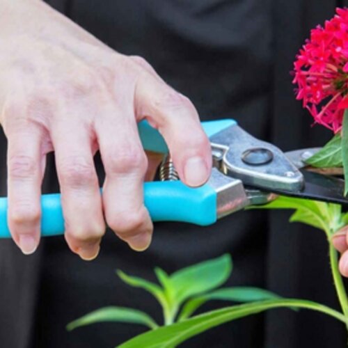 Five surprising facts about arthritis