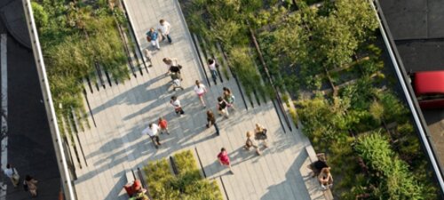 Fit Cities: New York