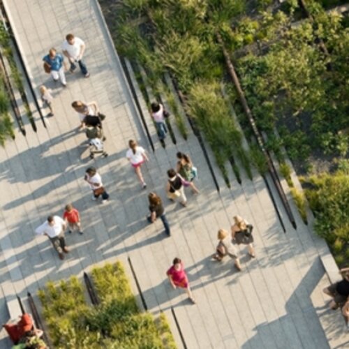 Fit Cities: New York