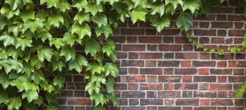 Improving Ordinary Places