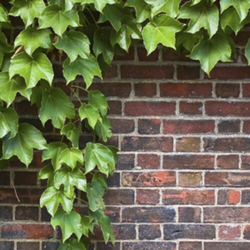 Improving Ordinary Places