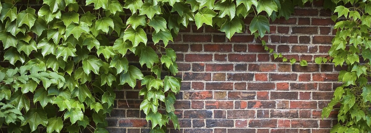 Improving Ordinary Places